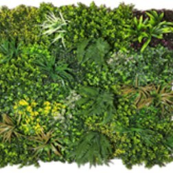Muro Verde 1 x 1 m EA-02