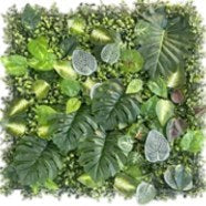 Muro Verde 50 x 50 cm MJ-03